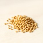 Mustard Seeds