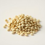 French Cucumber Seeds