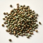 French Spinach Seeds