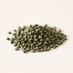 Chard Seeds