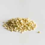 Garden Cress Sprouting Seeds