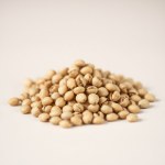 Tiger Nut Seeds