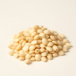 Honeydew Melon Seeds