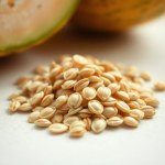 بذور شمام مصري (Cucumis melo) الشمام المصري