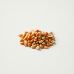 Yellow Beard Tomato Seeds