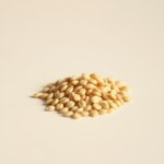 بذور طماطم روفا جولد 10 بذور (Solanum lycopersicum) طماطم روفا جولد