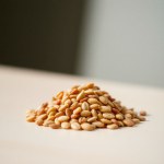بذور طماطم سمراء 10 بذور (Solanum lycopersicum) طماطم سمراء