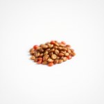Cherry Mix Tomato Seeds 10 Seeds