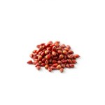 Sweet Red Pepper Seeds 5 Seeds