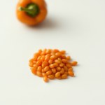 Orange Pepper Seeds 5 Seeds