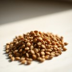 Hot Pepper Seeds