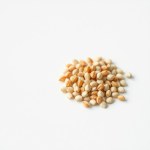 Coral Pepper Seeds 10 Seeds