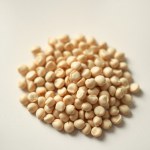 بذور فول حراتي (Vicia faba) فول حراتي
