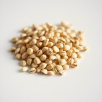 Seeds 5 Seeds (Cucurbita maxima)