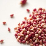 Seeds (Brassica oleracea var. capitata f. rubra)
