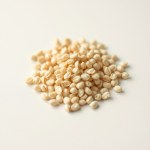Seeds (Brassica oleracea var. capitata)