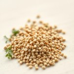 Seeds (Coriandrum sativum)