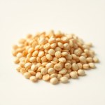 Seeds (Cucumis melo)