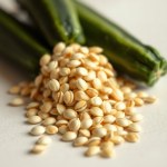 Seeds (Cucurbita pepo)