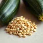 Seeds (Cucurbita pepo var. cylindrica)