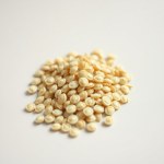 Seeds 3 Seeds (Cucurbita pepo var. cylindrica)