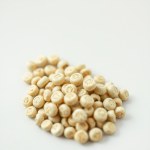 Seeds 3 Seeds (Cucurbita pepo var. round)