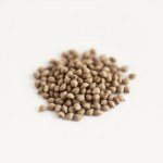 Geranium Mix Seeds