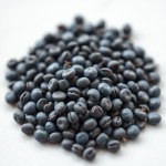 بذور الشاي الأبيض التايلاندي (Thai White Tea Seeds) 5 بذور