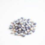 Thai Blue Tea Seeds