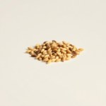 Velvet Marigold Seeds