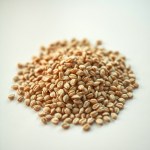 Baladi Flax Seeds for Agriculture