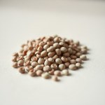 Sweet Pea Seeds