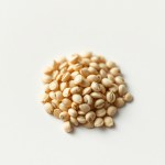 بذور دوار الشمس المقزم (Dwarf Sunflower Seeds)