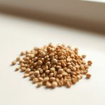 بذور ديمورفوتيكا ميكس (Dimorphotheca Mix Seeds)