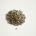 Cardinal Basil Seeds