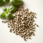 Basil Mix Seeds