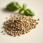 Basil Balcony Star Seeds