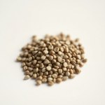 Greek Basil Seeds