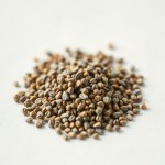 Wild Thyme Seeds