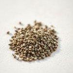 Mountain Thyme Seeds