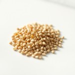 Chrysanthemum Seeds
