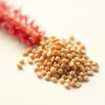 Amaranthus Seeds