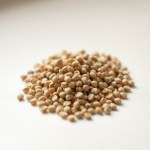 Statice Seeds (Limonium sinuatum)