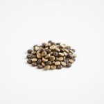 Passion Flower Seeds