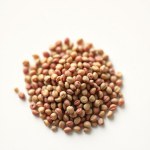 بذور زهرة السنانير MIX (Amaranthus caudatus) زهرة السنانير