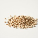 Stocks Seeds