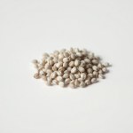 Seeds Flower (Phlox paniculata)