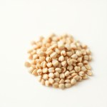 Seeds (Jacaranda mimosifolia) 100 Seed