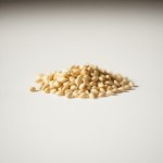Seeds (Matricaria chamomilla)