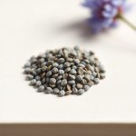 Seeds Flowers (Linum grandiflorum) Flowers